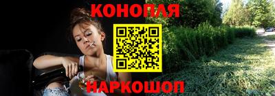 стаф Малгобек