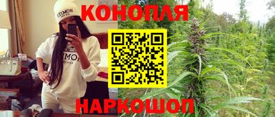 стаф Малгобек