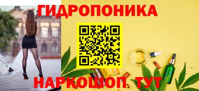 стаф Малгобек