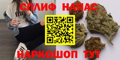 стаф Малгобек