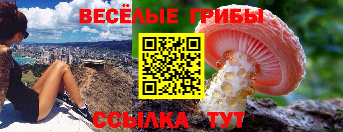 Галлюциногенные грибы Psilocybine cubensis  Галлюциногенные грибы мицелий  Вход с VPN  Тихвин 