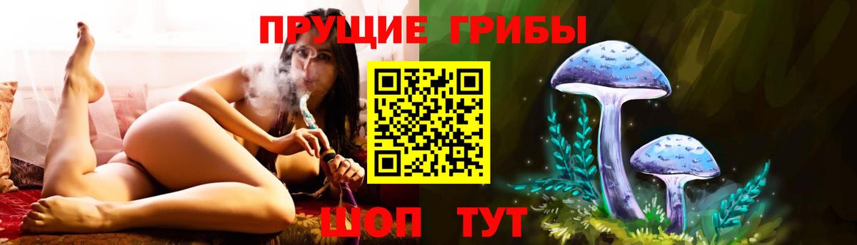 Галлюциногенные грибы прущие грибы Тихвин