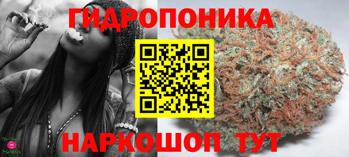 Бошки марихуана семена  Вход с VPN  Бошки марихуана THC 21%  Тихвин  Марихуана OG Kush 